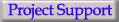 Project Support button