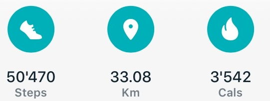 Fitbit 33km
